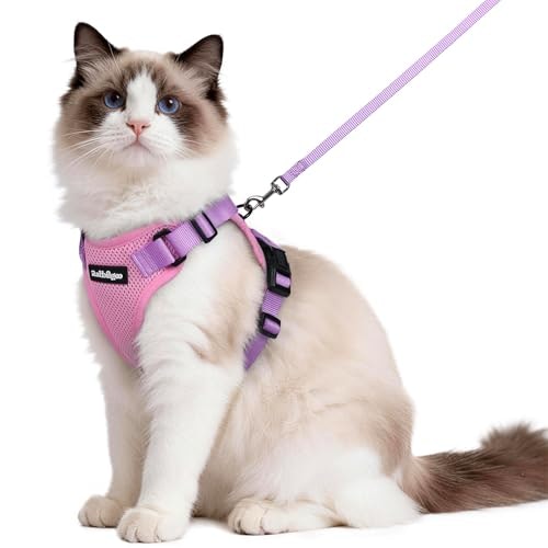 Rabbitgoo Cat Harness and Leash Set: $19.53