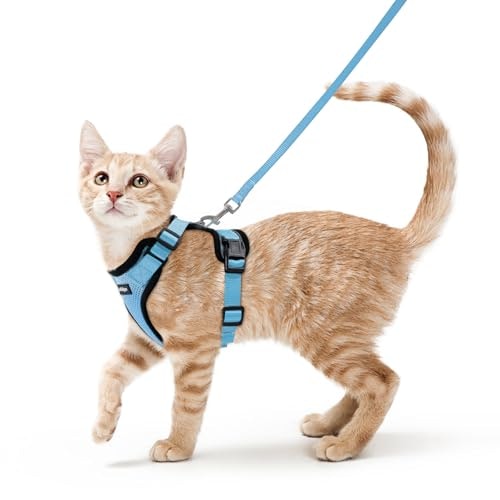 Rabbitgoo Escape-Proof Cat Harness and Leash Set: $16.78
