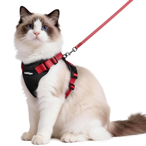 Rabbitgoo Cat Harness and Leash Set: $19.53