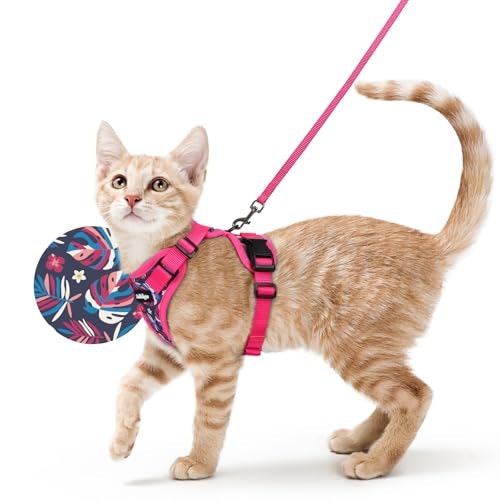 Rabbitgoo Cat Harness and Leash Set: $19.53