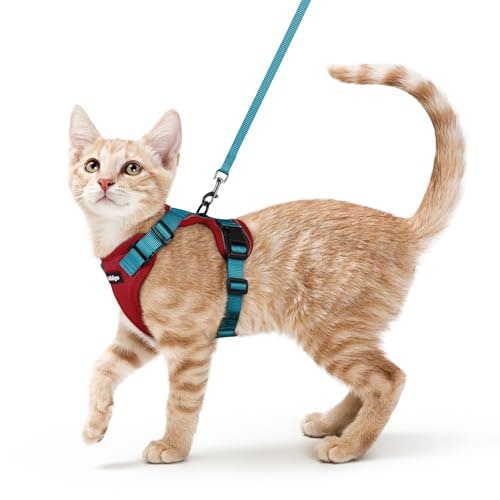 Rabbitgoo Escape Proof Cat Harness and Leash Set: $18.98 Rabbitgoo Escape Proof Cat Harness and Leash Set: $18.98