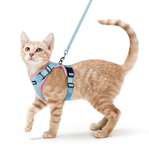 Rabbitgoo Cat Harness and Leash Set: $18.68 Rabbitgoo Cat Harness and Leash Set: $18.68