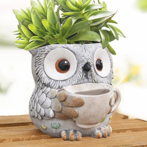 Saysmile Owl Succulent Plant Pot: $16.99 Saysmile Owl Succulent Plant Pot: $16.99