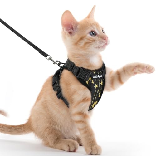 Rabbitgoo Cat Harness and Leash Set: $21.23