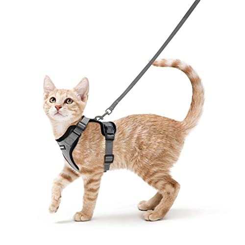 Rabbitgoo Cat Harness and Leash Set: $18.68