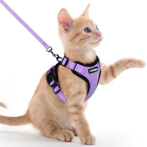 Rabbitgoo Cat Harness and Leash Set: $17.83