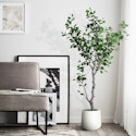 Lowe's Artificial Plants Deals: Up to 50% off + free shipping