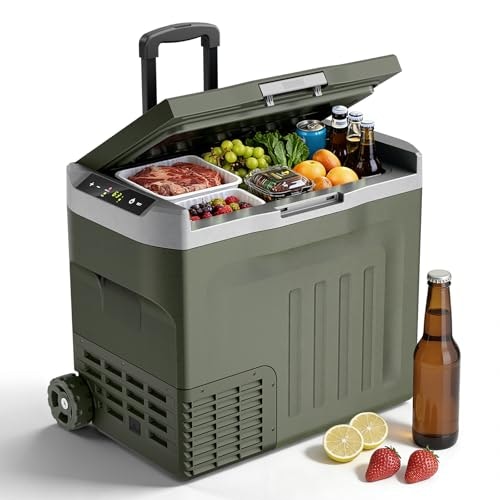 Electactic 43-Quart 12V Portable Car Refrigerator: $219.99