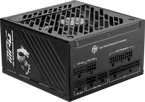 MSI MPG A1250GS 1,250W 80+ Gold Fully Modular Power Supply: $139.99 MSI MPG A1250GS 1,250W 80+ Gold Fully Modular Power Supply: $139.99