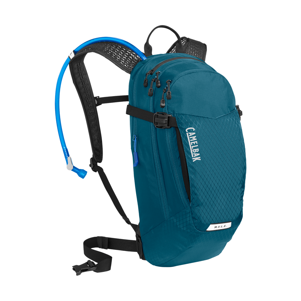 CamelBak M.U.L.E. 12 100-oz. Hydration Pack: $85