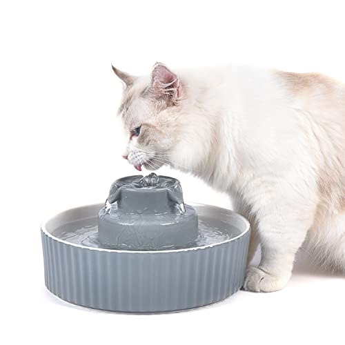 Cepheus 2.1-Liter Pet Drinking Fountain: $34.18 Cepheus 2.1-Liter Pet Drinking Fountain: $34.18