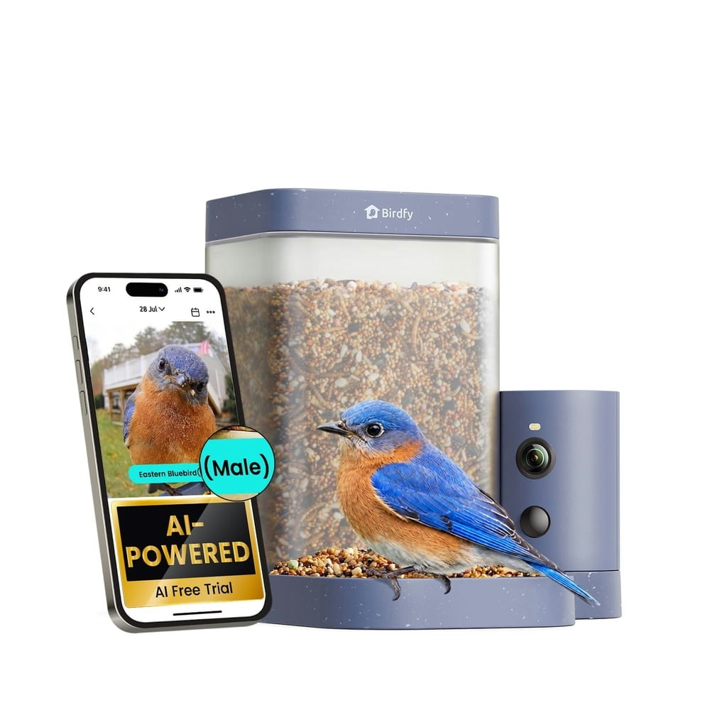 Birdfy Smart Bird Feeder with Camera: $79.99 Birdfy Smart Bird Feeder with Camera: $79.99