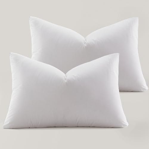 Globon Queen Size Down Pillow 2-Pack: $237.90 Globon Queen Size Down Pillow 2-Pack: $237.90