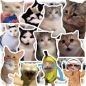 Cat Meme Sticker 100-Pack for $2 + free shipping w/ $25
