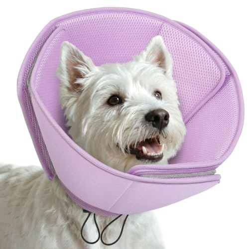 Aofitee Adjustable Soft Dog Cone Collar: $25.49 Aofitee Adjustable Soft Dog Cone Collar: $25.49