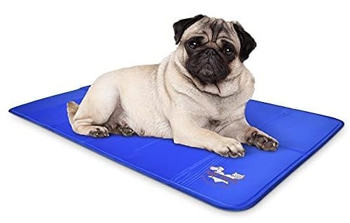 The Pet Home Edit Sale at Woot: Up to 77% off + extra 20% off 3+ items The Pet Home Edit Sale at Woot: Up to 77% off + extra 20% off 3+ items