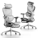 Oto Zenpex Ergonomic Mesh Office Chair for $250 + free shipping
