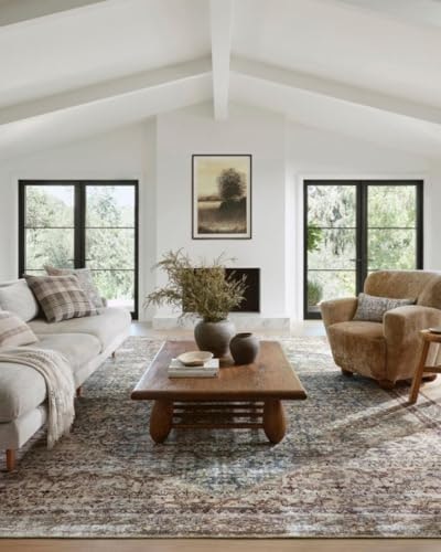 Loloi Amber Lewis Georgie 7'6" x 9'6" Area Rug: $104.60