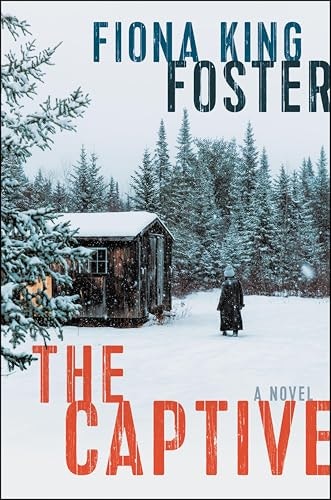 The Captive: A Novel: $1.99 The Captive: A Novel: $1.99