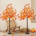 4-Foot Lighted Maple Tree Decor 2-Pack for $36 + free shipping