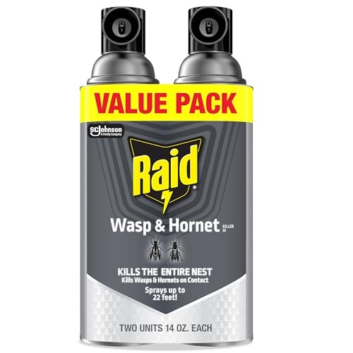 Raid Wasp & Hornet Killer Spray 2-Pack: $6.38