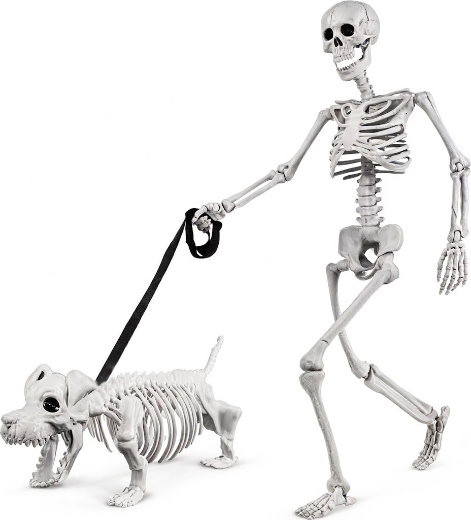3-Foot Human & Dog Skeleton Halloween Set: $28 3-Foot Human & Dog Skeleton Halloween Set: $28