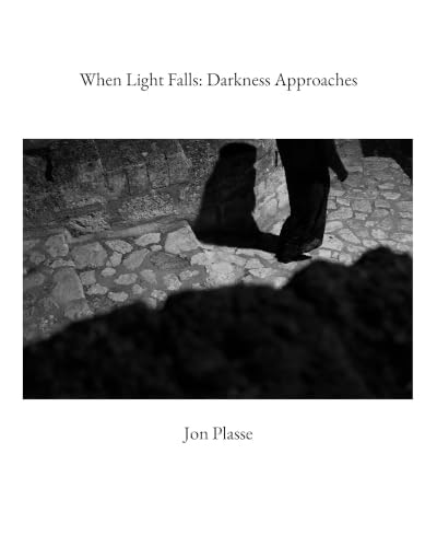 When Light Falls: $40.82