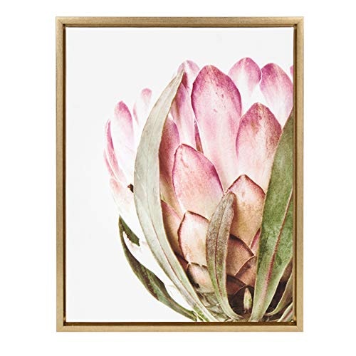 Kate and Laurel Pink Protea Framed Canvas Wall Art: $51.99 Kate and Laurel Pink Protea Framed Canvas Wall Art: $51.99
