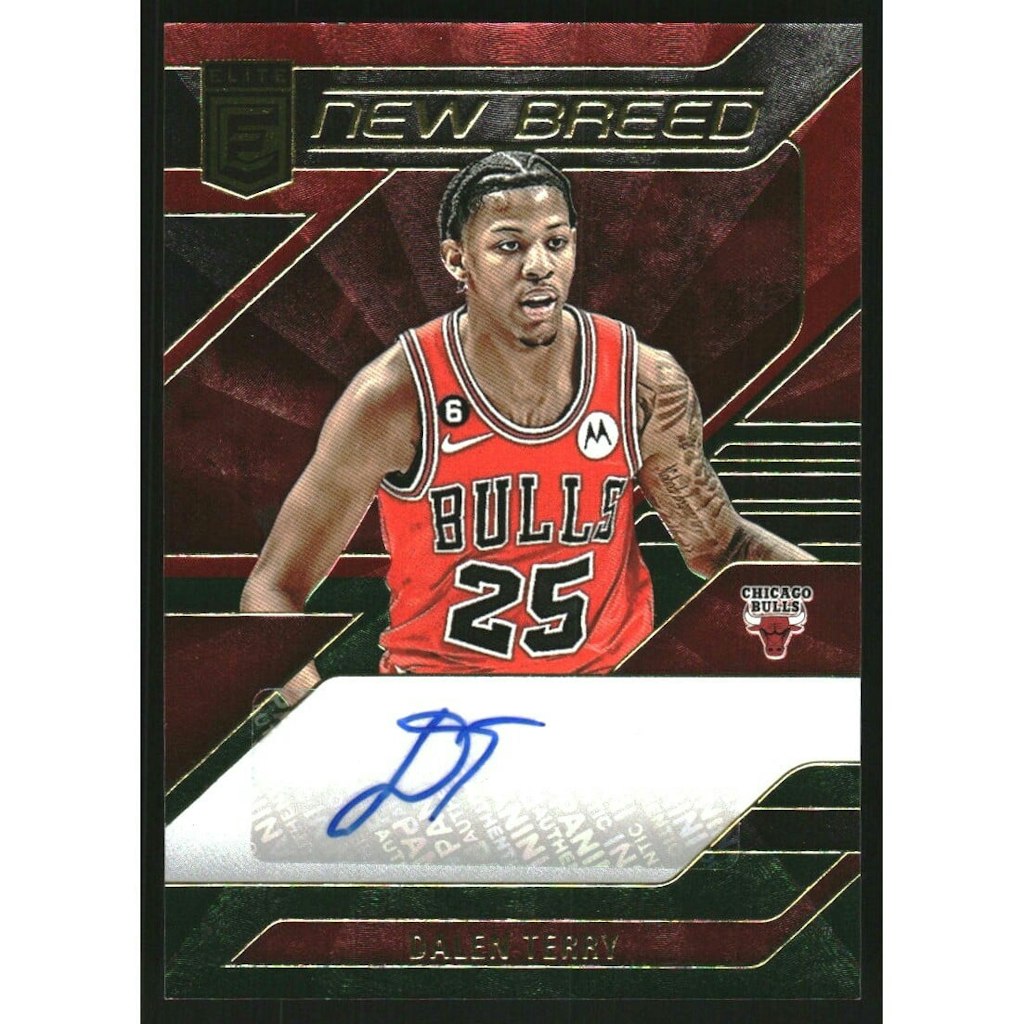 2023-24 Elite New Breed International Red and Green Dalen Terry Autograph Card: $13.50 2023-24 Elite New Breed International Red and Green Dalen Terry Autograph Card: $13.50