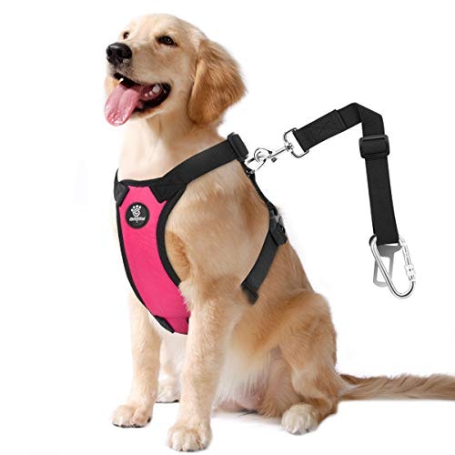 VavoPaw Dog Car Seat Belt Harness: $14.98 VavoPaw Dog Car Seat Belt Harness: $14.98