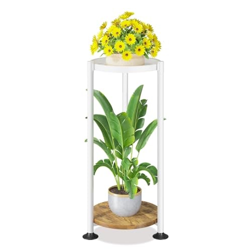 Laszola 2-Tier Tall Indoor Plant Stand: $23.78