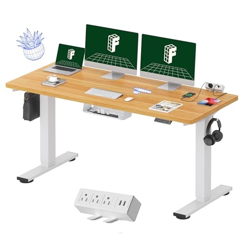 Flexispot EN2 60"x24" Standing Desk: $254.99
