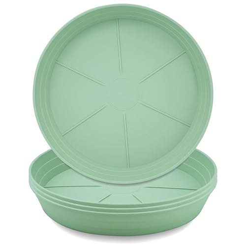Lwalrs 8-Inch Plant Saucer 4-Pack: $8.49