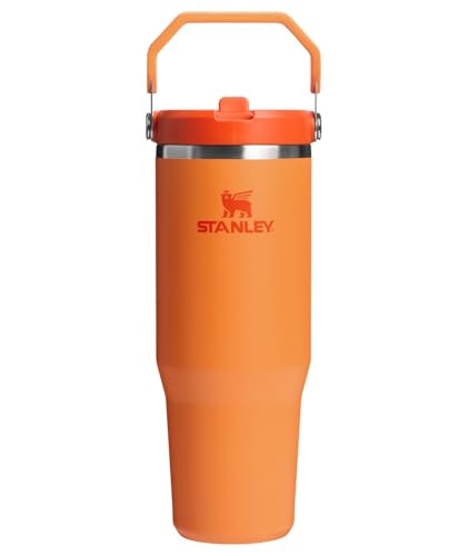 Stanley IceFlow 2.0 30-oz. Flip Straw Tumbler: $17.50 Stanley IceFlow 2.0 30-oz. Flip Straw Tumbler: $17.50