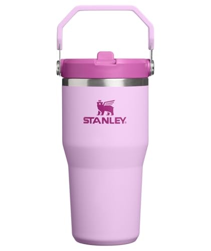 Stanley IceFlow 2.0 Flip Straw Tumbler 20-oz: $22.50 Stanley IceFlow 2.0 Flip Straw Tumbler 20-oz: $22.50