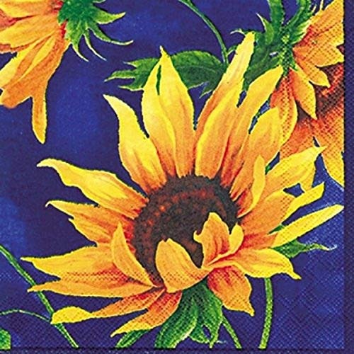 IHR Ideal Home Range 6.5" x 6.5" 3-Ply Paper Lunch Napkins 20-Pack: $6 IHR Ideal Home Range 6.5" x 6.5" 3-Ply Paper Lunch Napkins 20-Pack: $6