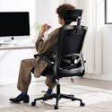 Fizzin Mesh Office Chair with Lumbar Support for $80 + free shipping