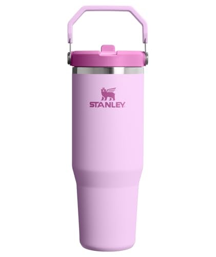 Stanley IceFlow 2.0 30-oz Flip Straw Tumbler: $24