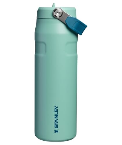 Stanley IceFlow 2.0 Flip Straw Water Bottle 24oz: $21