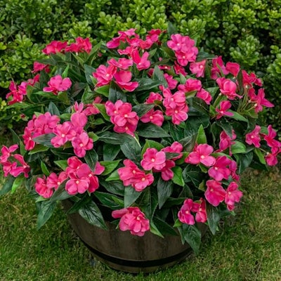 Nigirior Artificial Fake Flowers 6-Bundle Set for $28 + free shipping w/ Prime