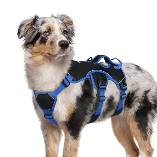 Rabbitgoo Escape Proof Dog Harness: $34.83 Rabbitgoo Escape Proof Dog Harness: $34.83