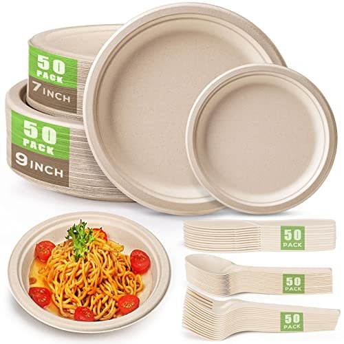 Gezond 250-Piece Disposable Paper Plate and Utensil Set: $24.79