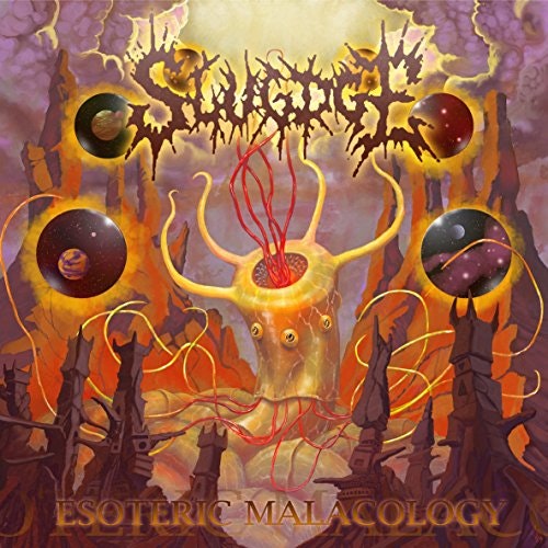 Esoteric Malacology: $9.08