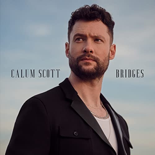 Bridges: $8.38 Bridges: $8.38