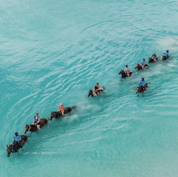 Holland America 11-Night Windward & Leeward Islands Cruise: From $3,198 for 2