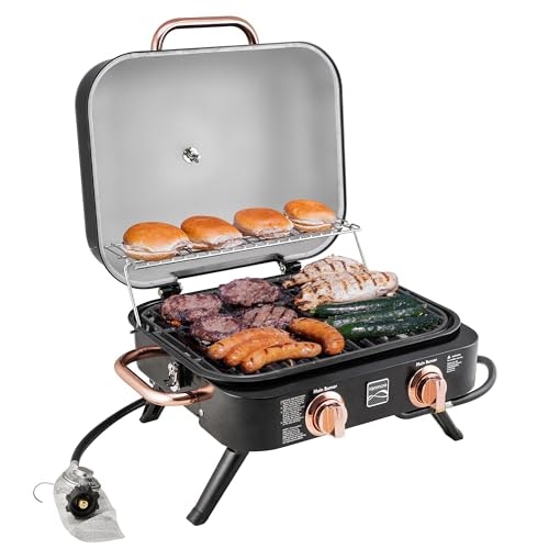Kenmore 2-Burner Portable Gas Grill: $179.99