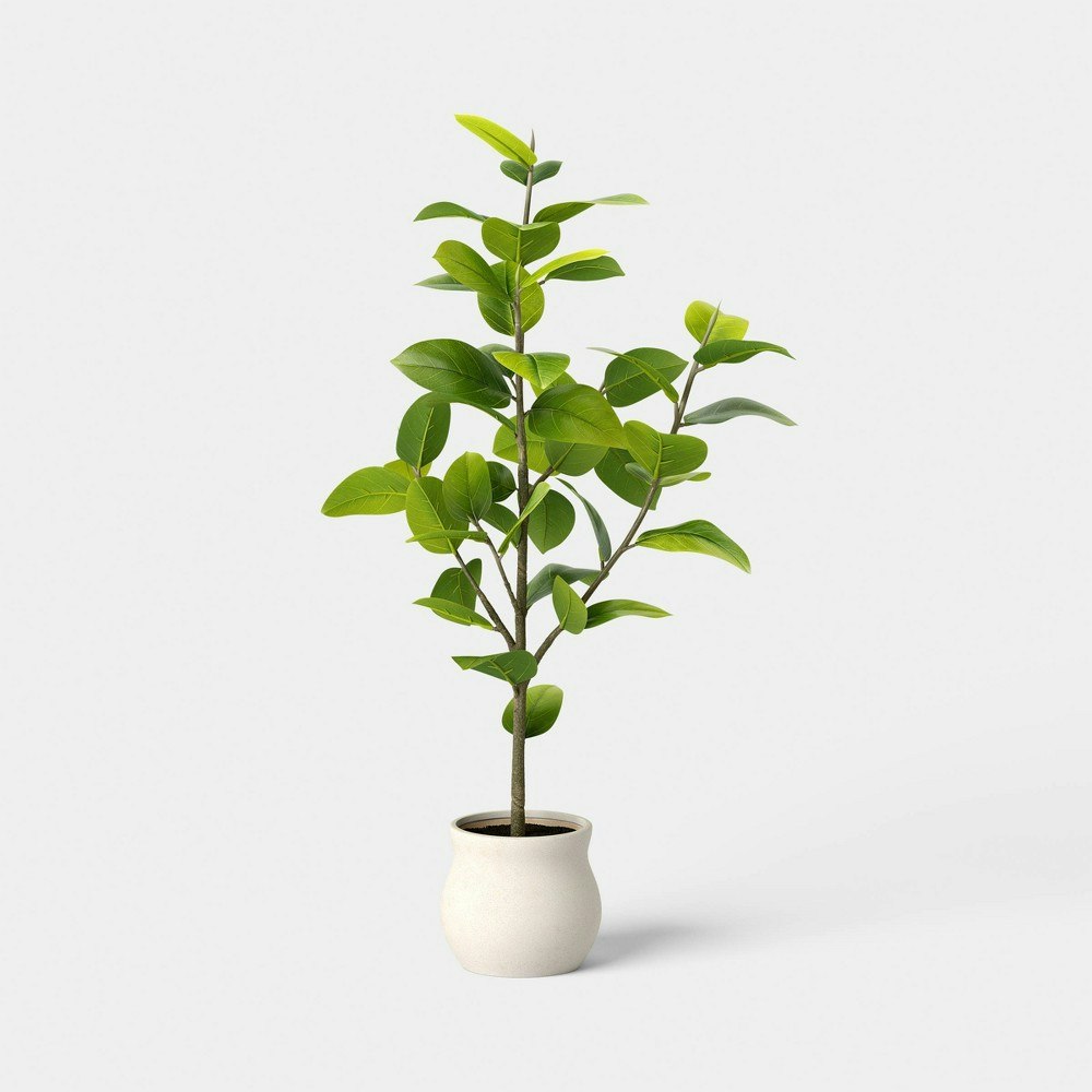 Threshold 42-inch Ficus Tree: $45 Threshold 42-inch Ficus Tree: $45