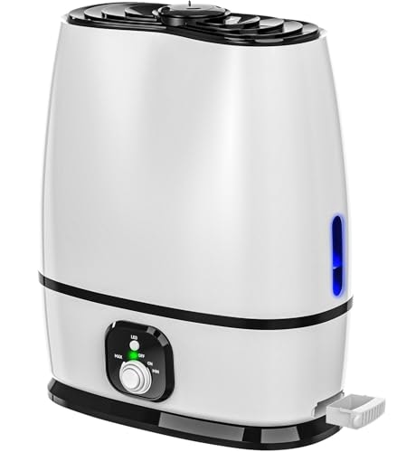 Everlasting Comfort 6L Cool Mist Humidifier: $59.98