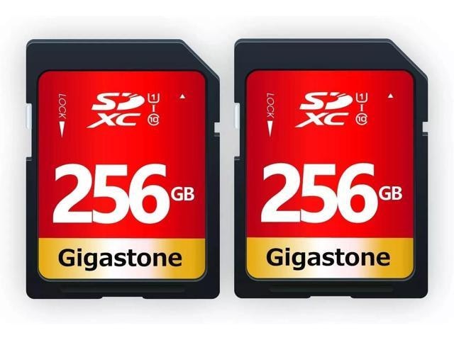 Gigastone 256GB UHS-I Class 10 SDXC Memory Card: $202.98 Gigastone 256GB UHS-I Class 10 SDXC Memory Card: $202.98