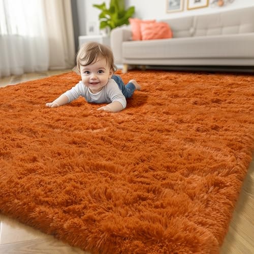 Amdrebio 3x5-Foot Fluffy Shag Area Rug: $19.78 Amdrebio 3x5-Foot Fluffy Shag Area Rug: $19.78